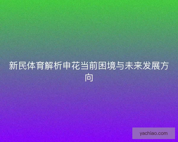 新民体育解析申花当前困境与未来发展方向