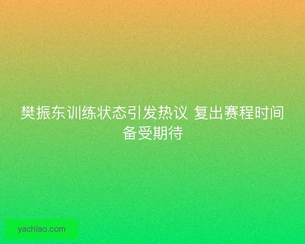 樊振东训练状态引发热议 复出赛程时间备受期待
